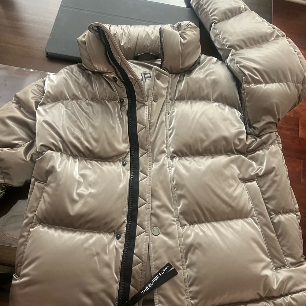 Aritiza Metallic Puffer Jacket